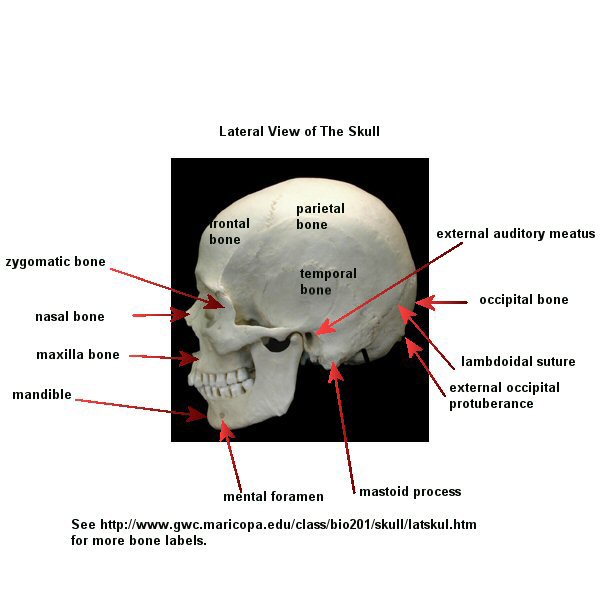 IHMC Public Cmaps (2)